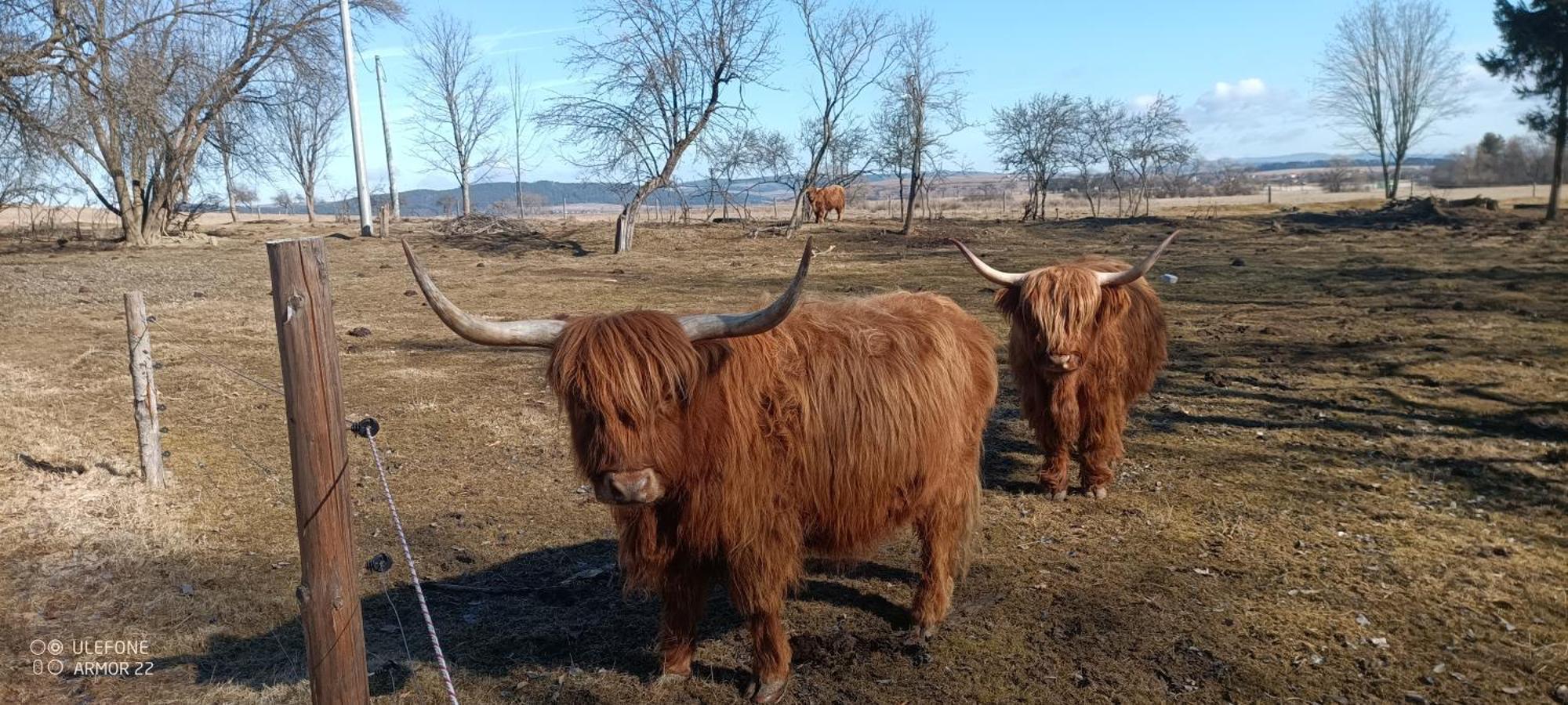 Willa Podlesok 697 Hrabušice Zewnętrze zdjęcie