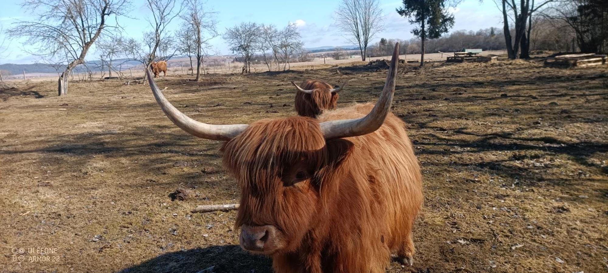 Willa Podlesok 697 Hrabušice Zewnętrze zdjęcie